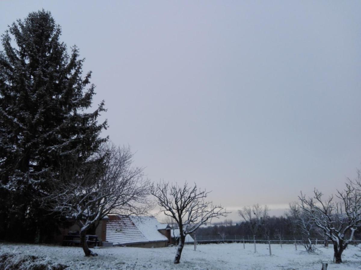 Bed and Breakfast Chez Casimir Cercy-la-Tour Exterior foto